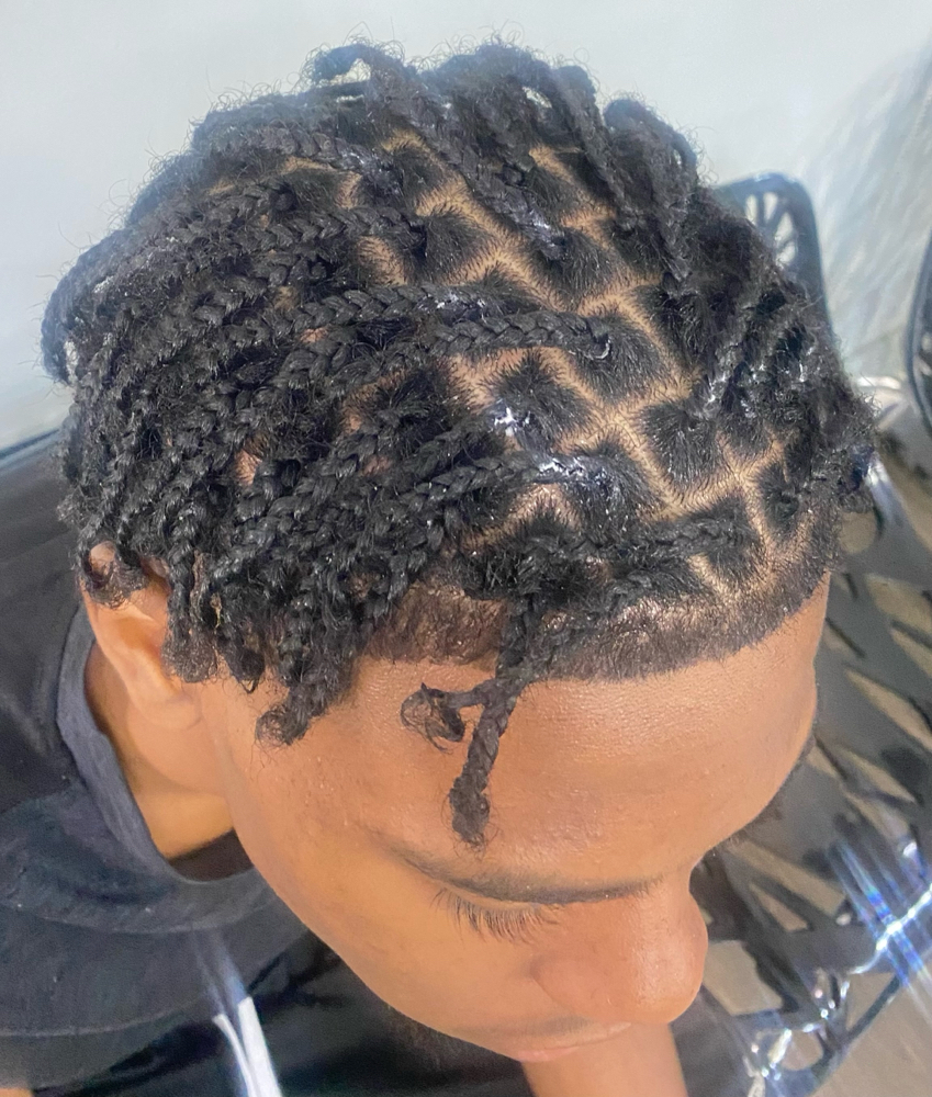 Plats,2 Strand Twist,or Cornrolls