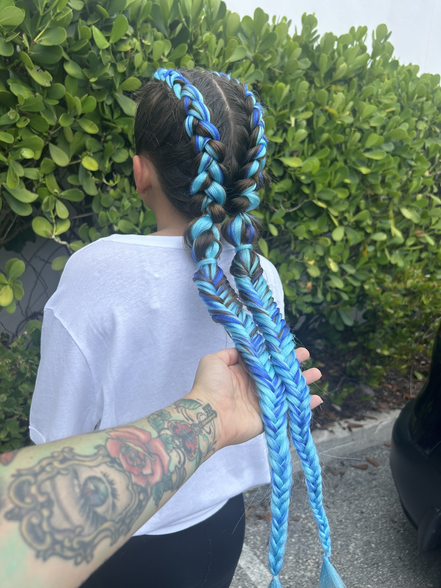Two Color Braids Fishtail Ends