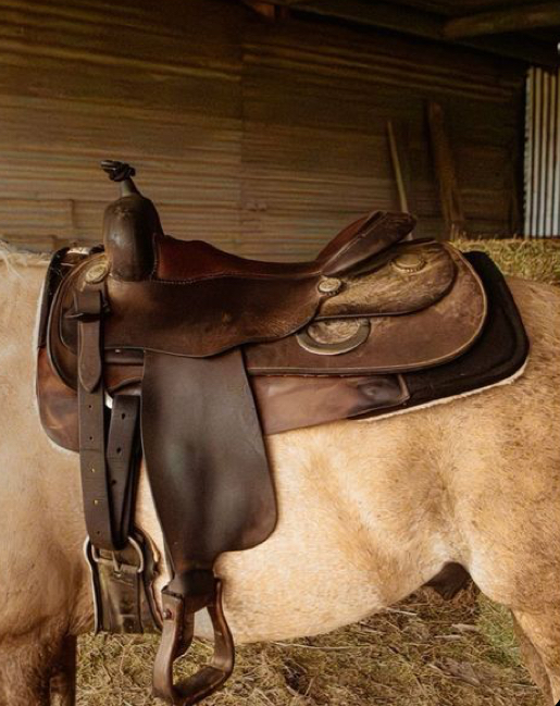 Sunless Tanning at The Salty Saddle Salon in Vista, CA