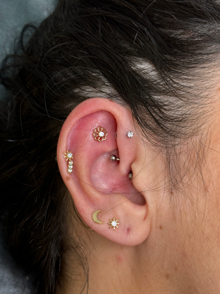 Forward Helix