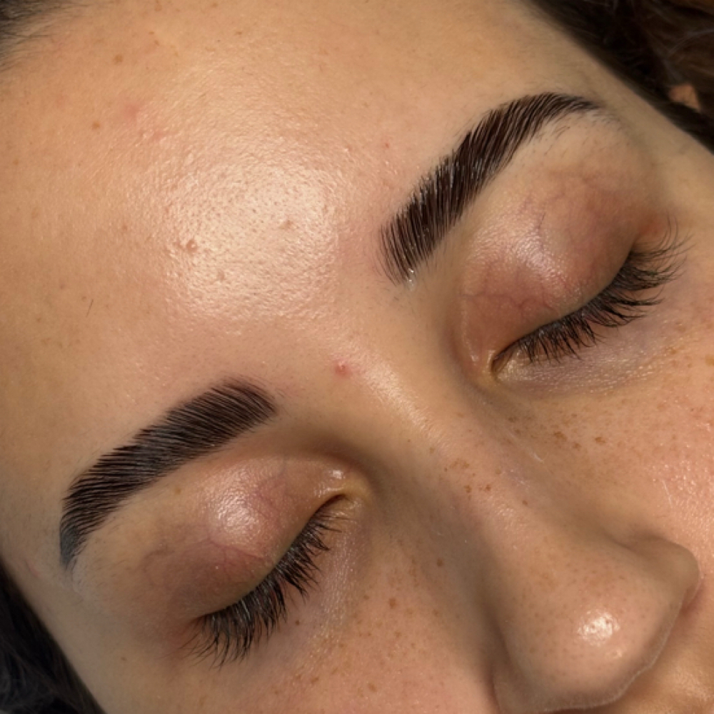 Brow Lami Special at The Beauty Space in Pinellas Park, FL