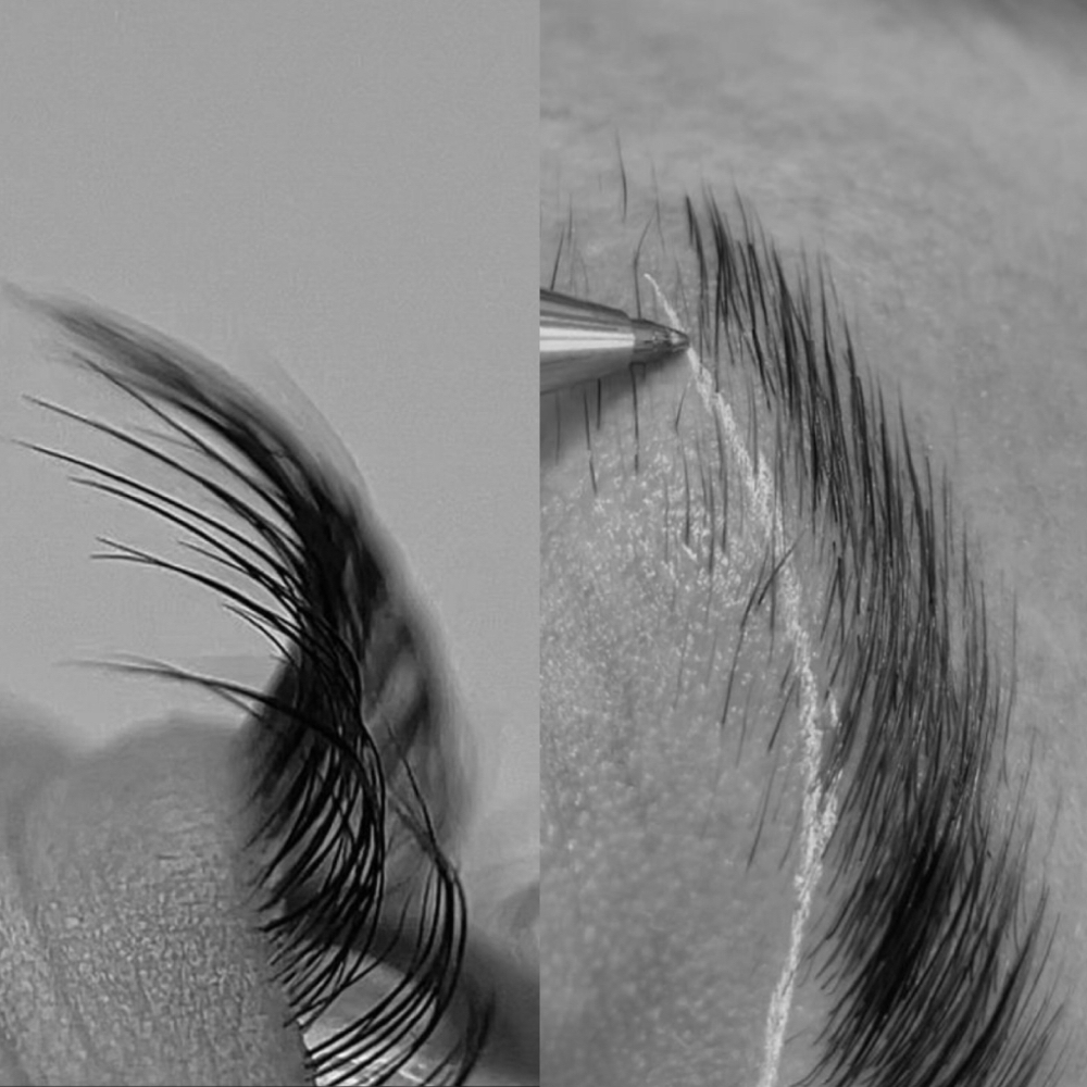 lash & brow perm bundle