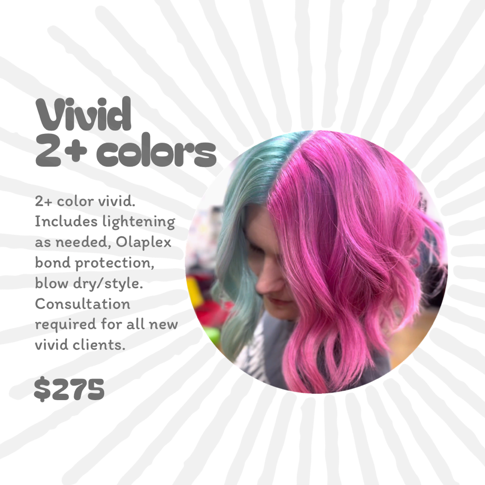 Vivid - 2+ Colors