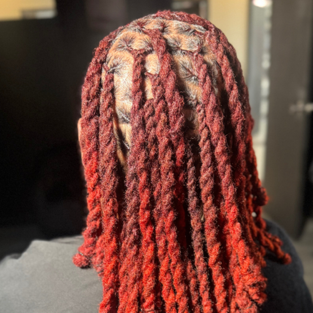 2 Strand/Plaits (mid back & above) at Locs Like Roses in Forestville, MD