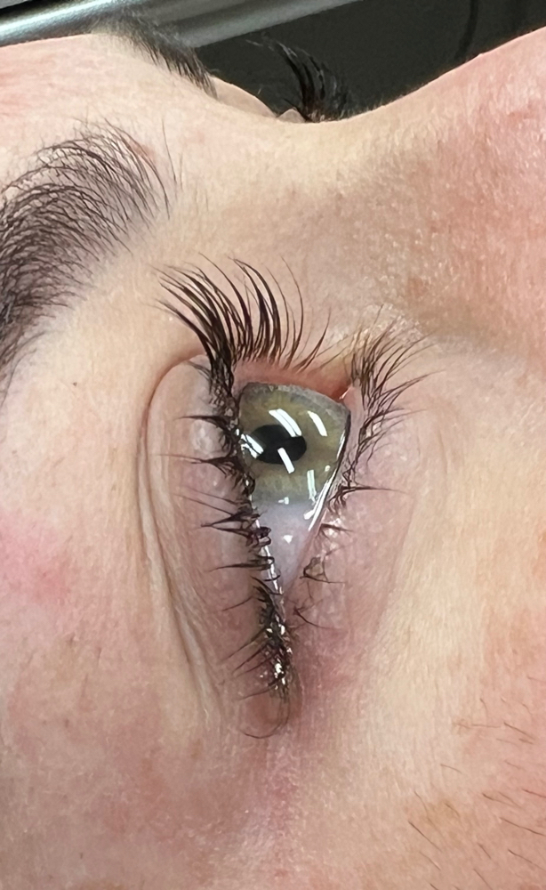 Lash Tint