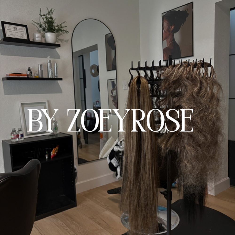 Hair Maintainence at by Zoey Rose in Lewisville, TX