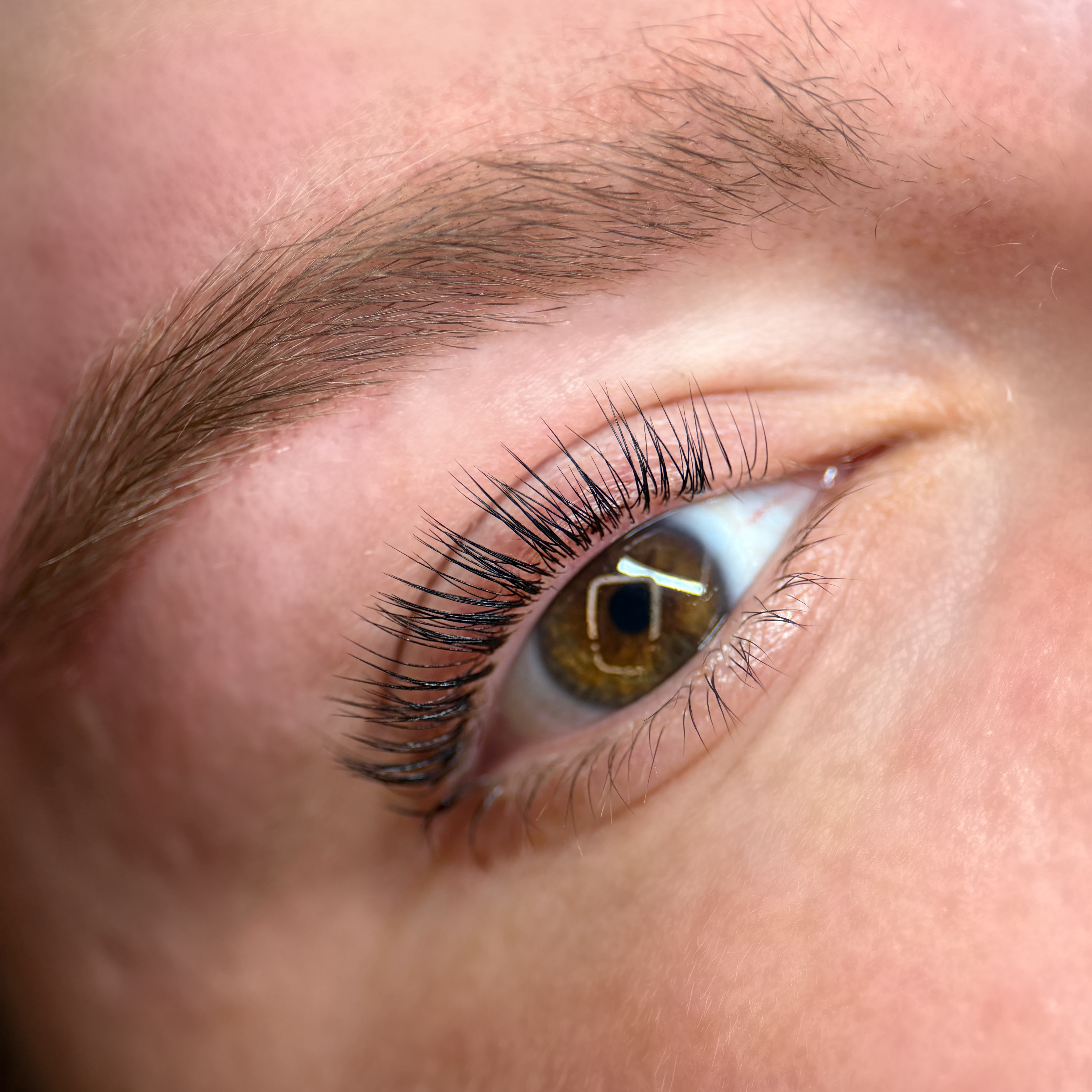 Korean Lash Lift + Tint at Raith Does Lashes & Skin in Richardson, TX