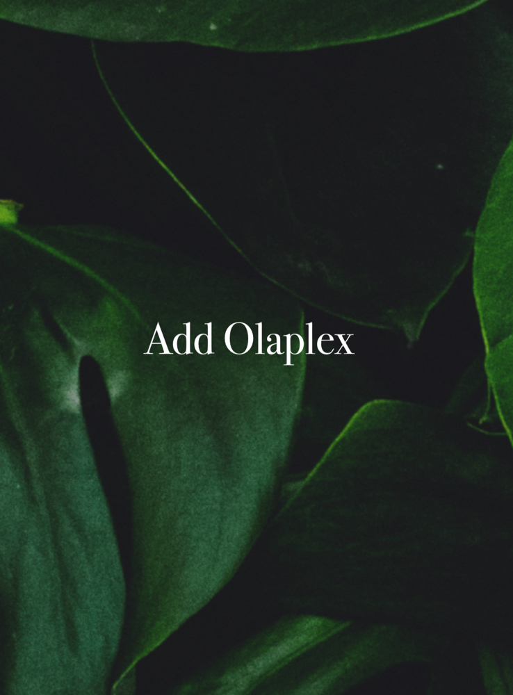 Add Olaplex at Anestie Beauty Lounge in Franklin Square, NY