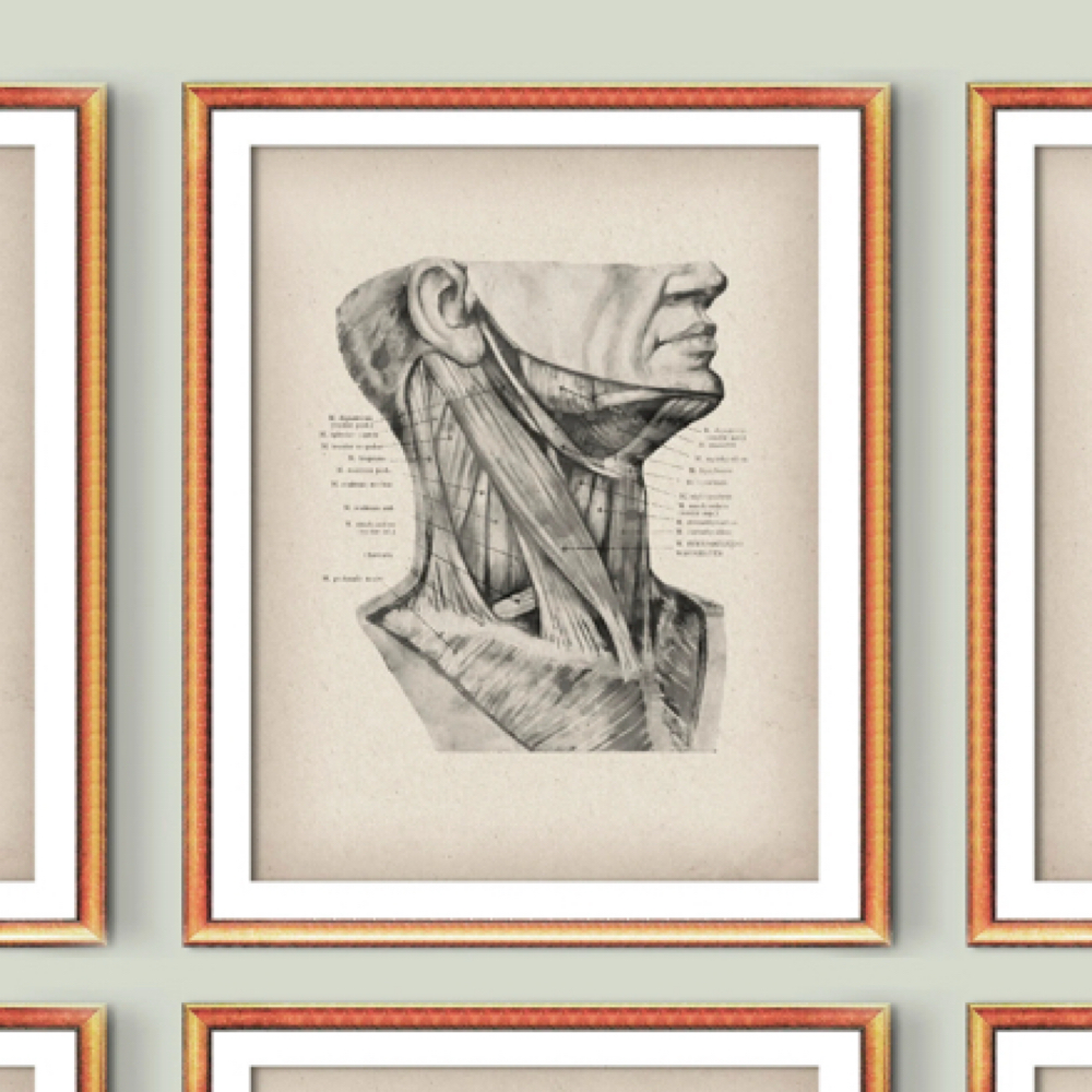 The Intensive at Reforge Bodywork in Reno, NV