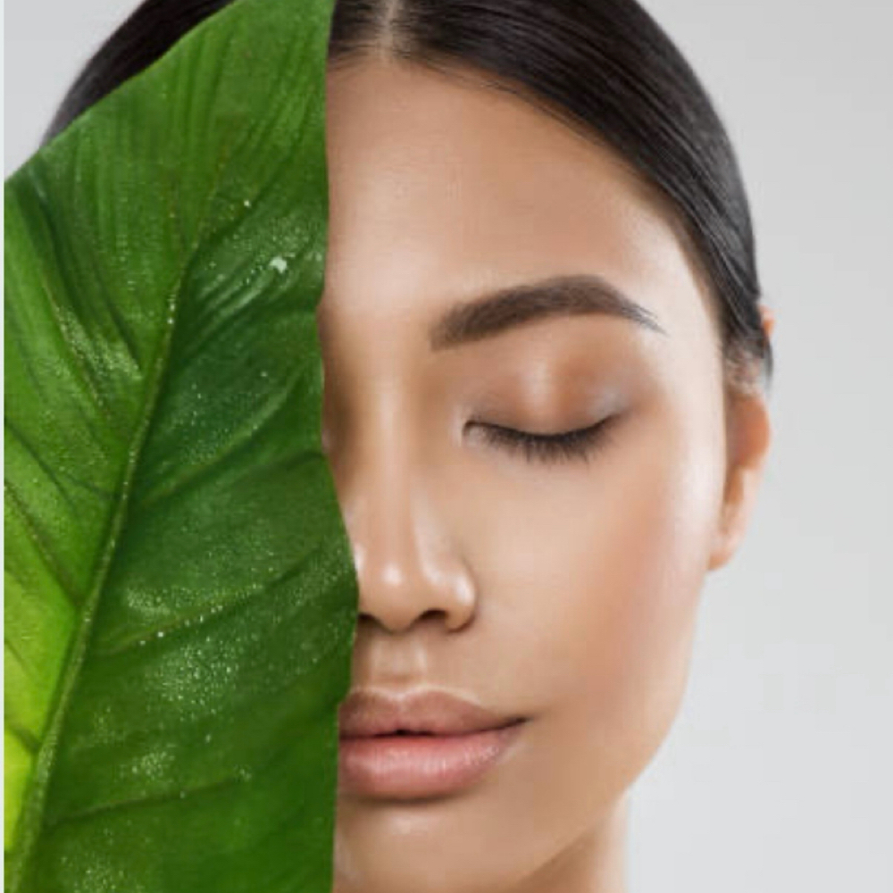 Eyelash Top & Bottom Tint Only at MAGIC LASH WELLESLEY in Wellesley, MA