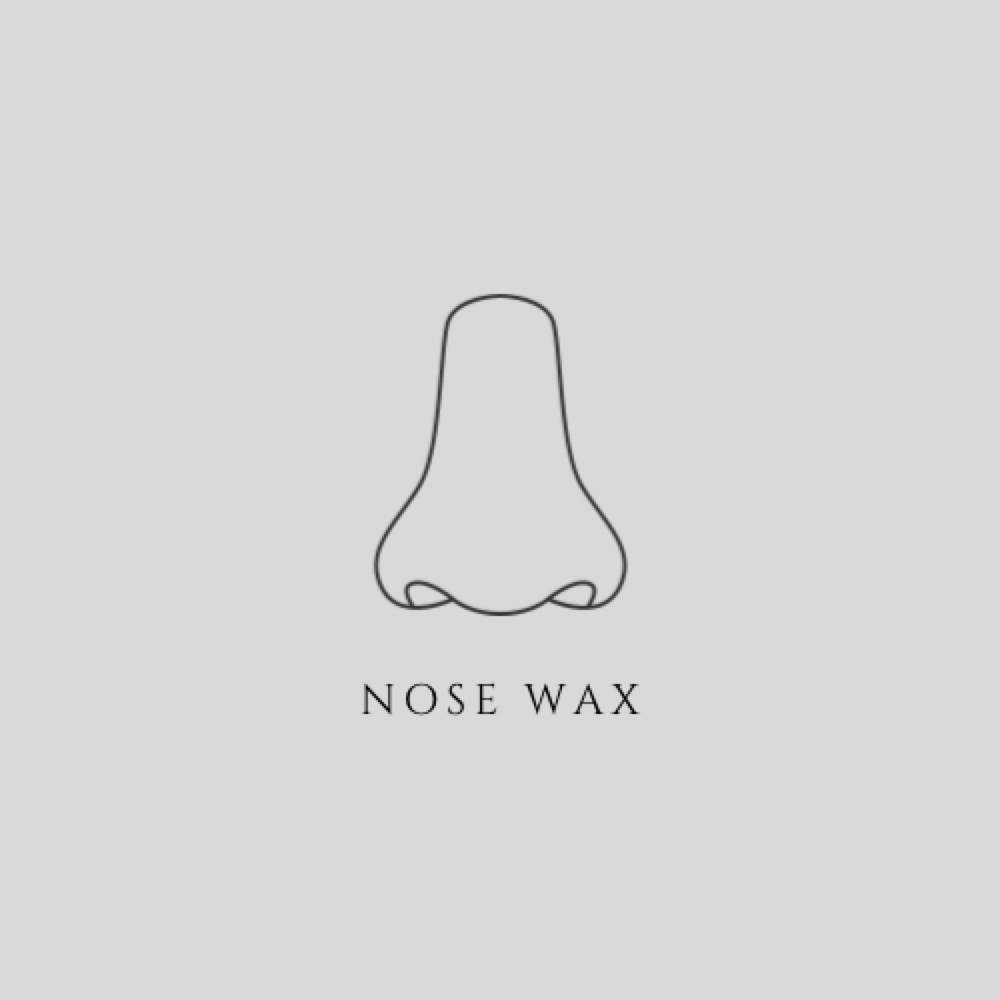 nose wax at EVE Esthetics & Beauty Bar in Plain, WI