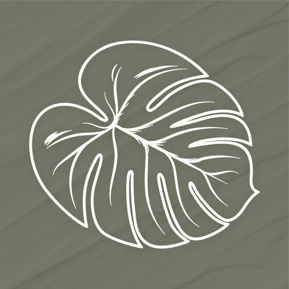 Kiwani Signature Brows ™ at Kiwani Beauty in Spokane, WA