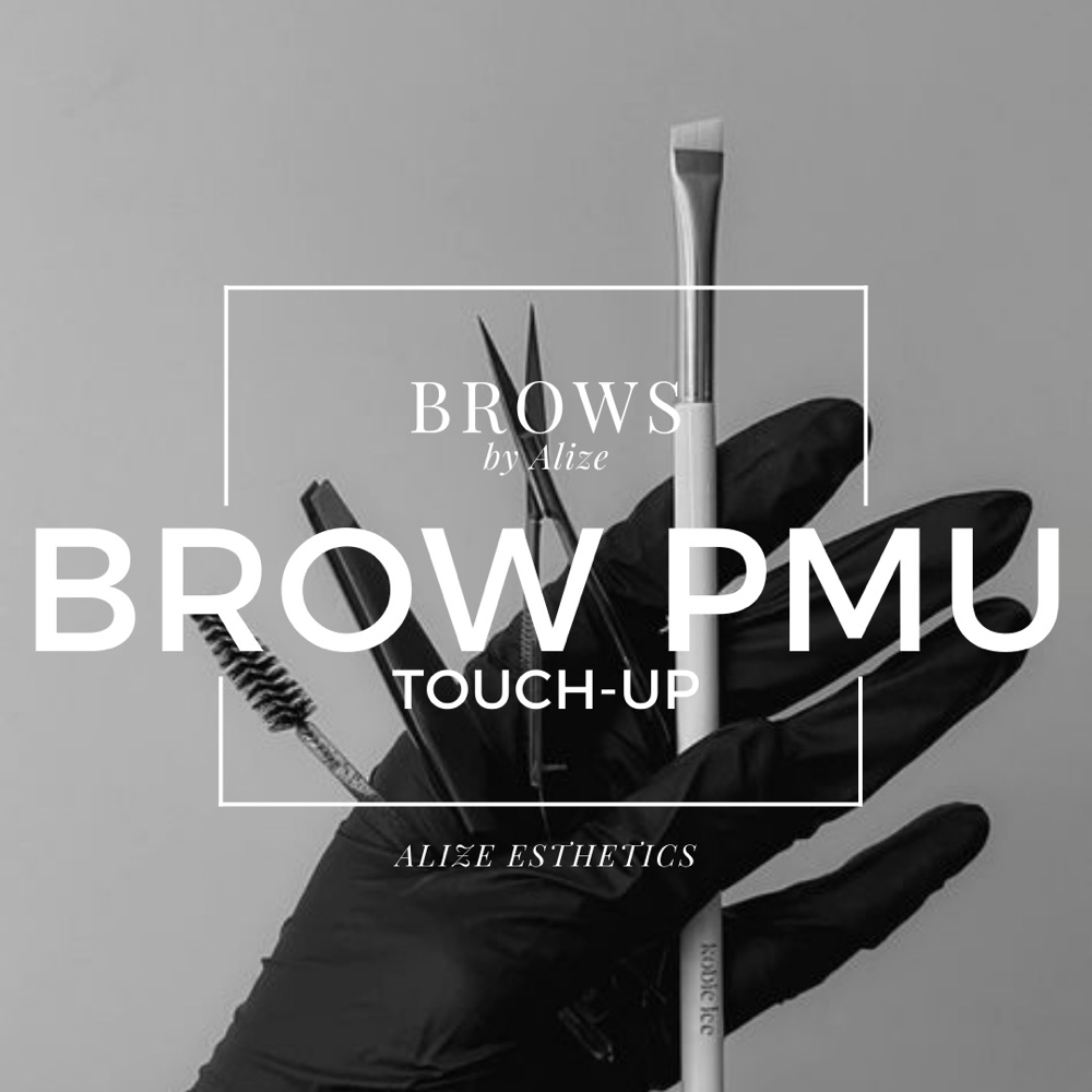 Alize Esthetics PMU Touch-up