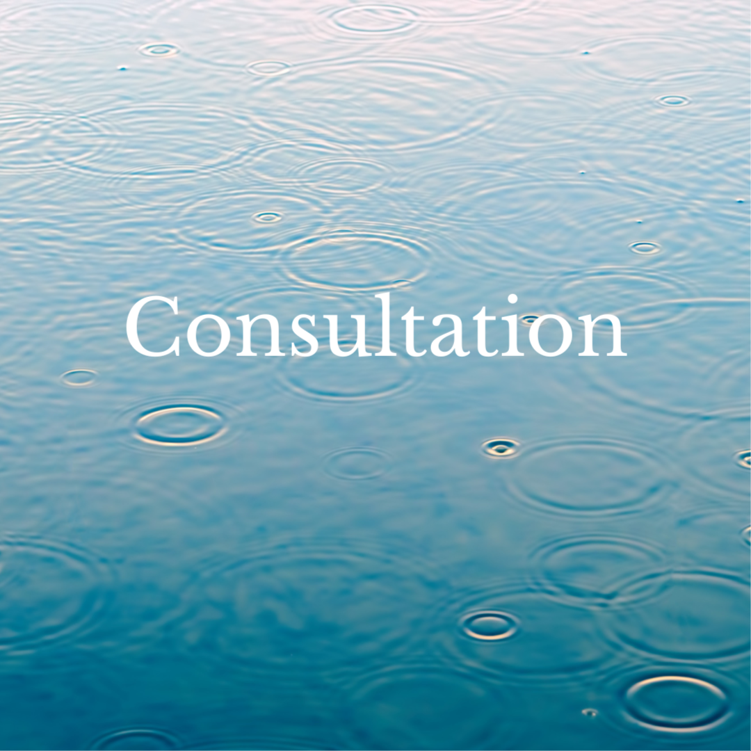 Consultation at Jen Rio Advanced Esthetics in Castle Rock, CO