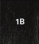 #1B (Natural Black)