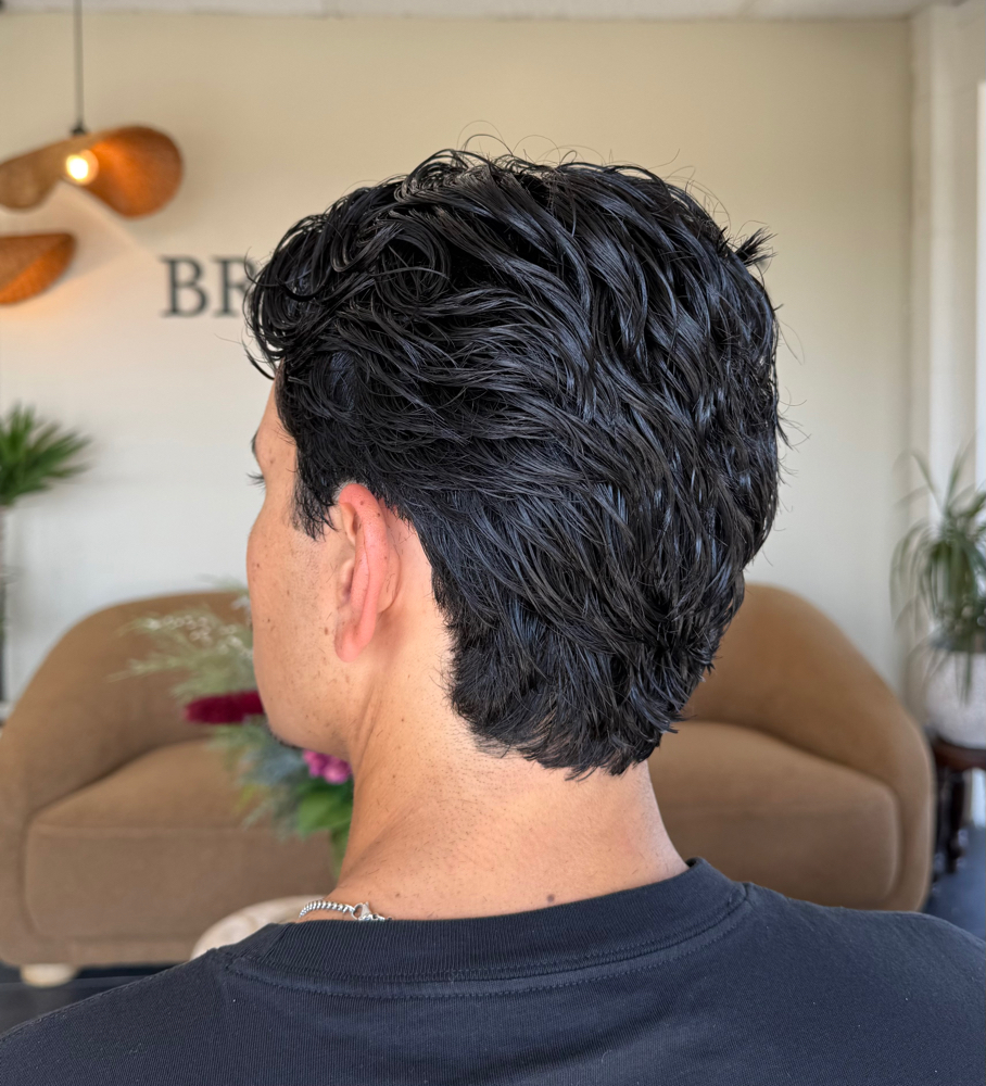 Mens Haircut