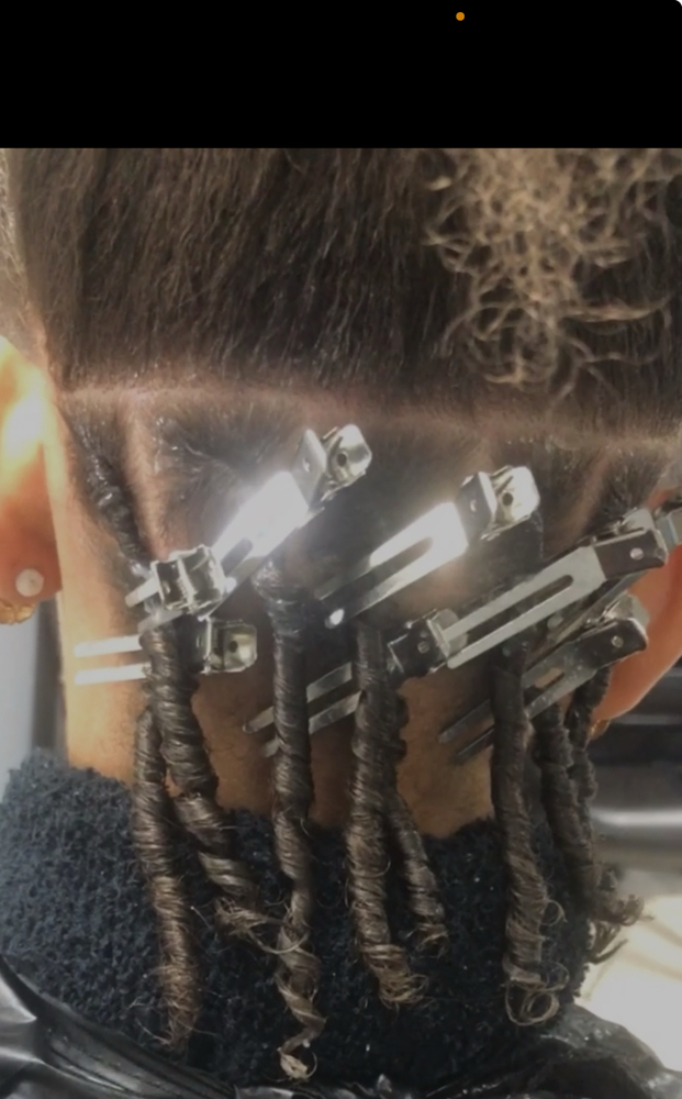 Starter locs