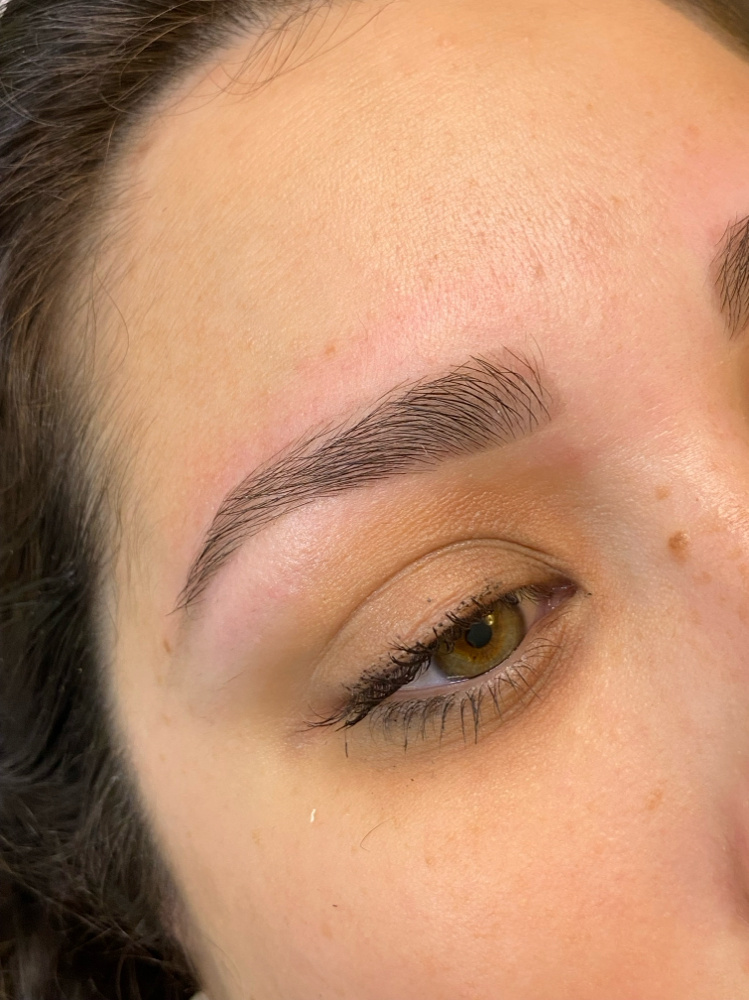 Eyebrow Wax And Tint