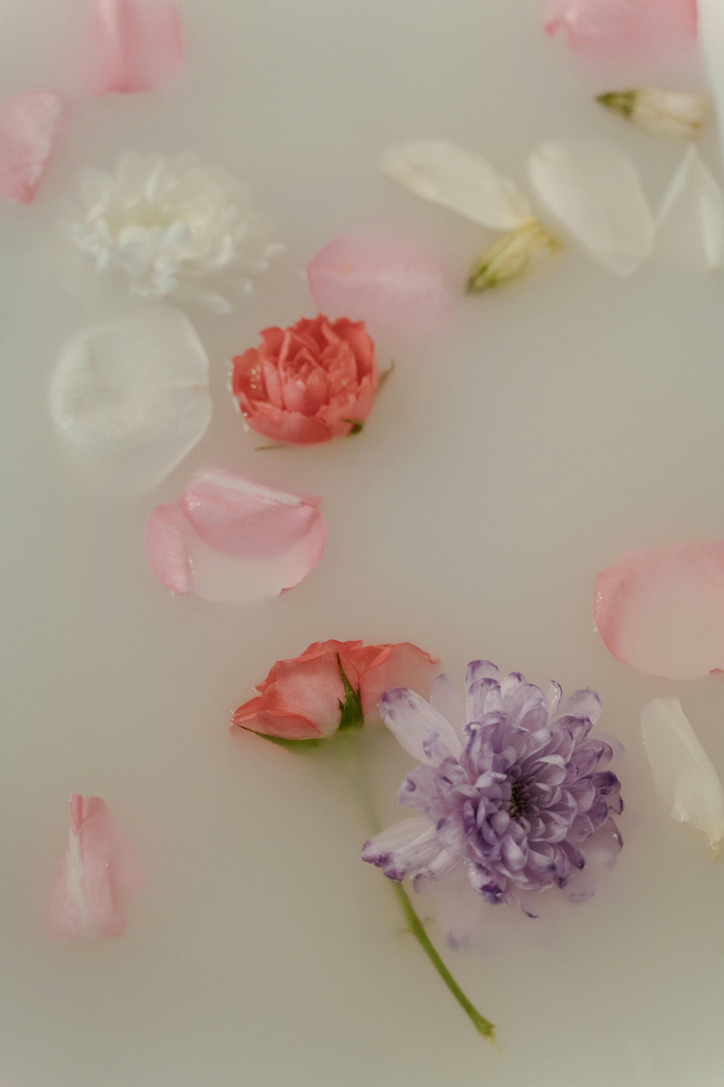 Barrier Repair Facial at Calista Page Esthetics in Eddyville, KY