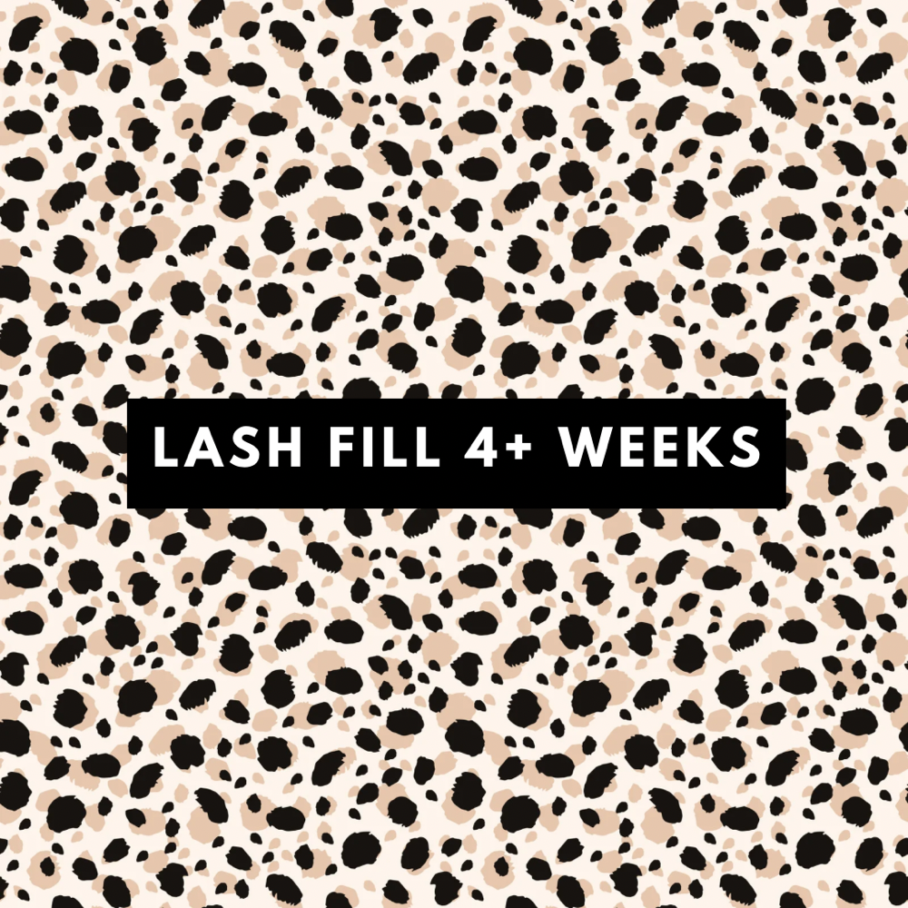 LASH FILL 4+ WEEKS