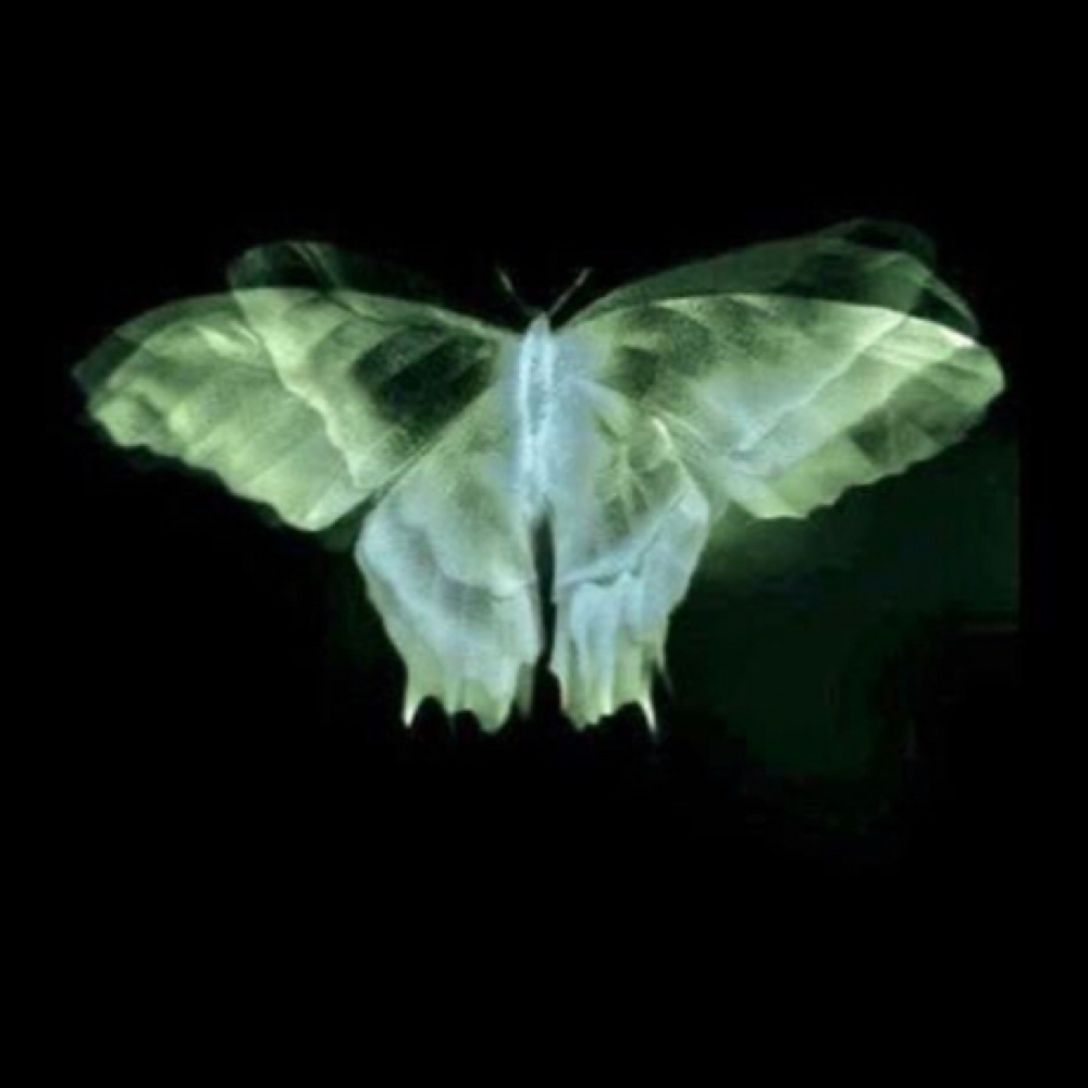 Brow Tint at Alexxa Esthetic in Berkley, MI