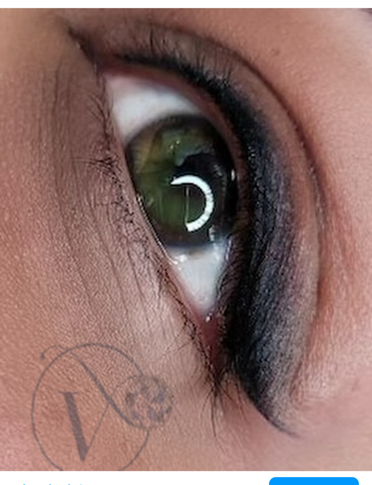 Designer Eyeliner - Shadow Fade at VINE Studios Permanent Cosmetics in Maple Valley Wa, WA
