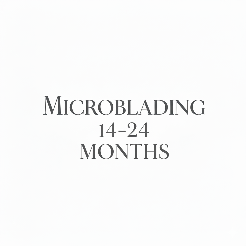 Microblade Touch Up 14-24 Months at Snatched Beauty in Dallas, TX