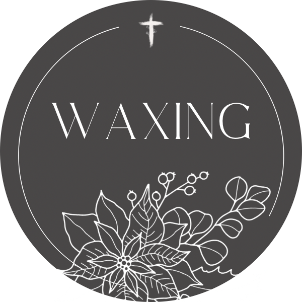 Bikini Wax