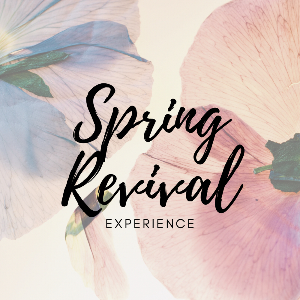 Spring Revival Experience at NOV Salon Chicago in 60657
