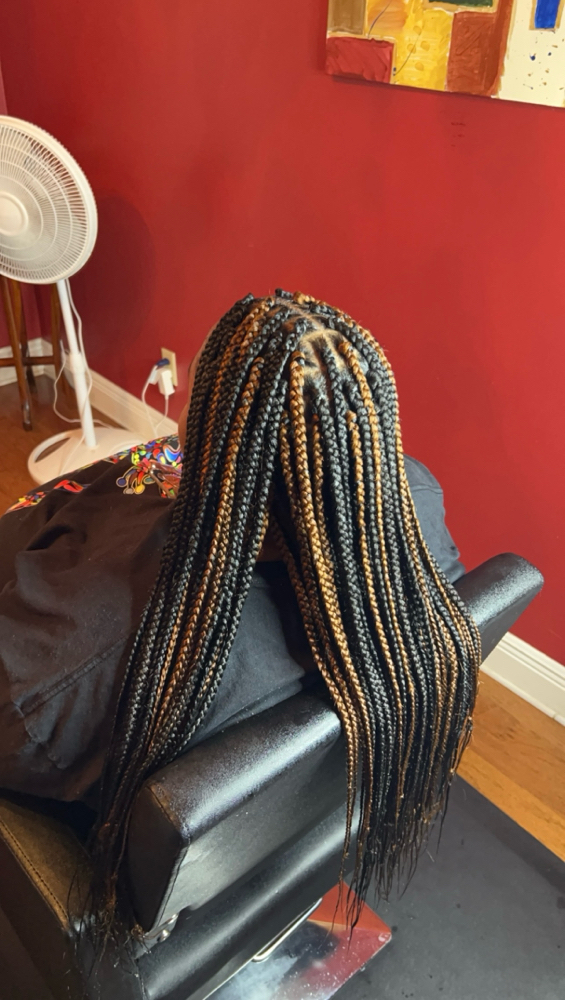 Small/Smedium Box Braids
