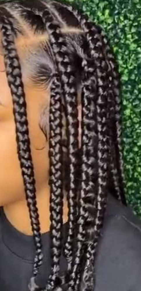 Box Braids/or Twist shoulder length