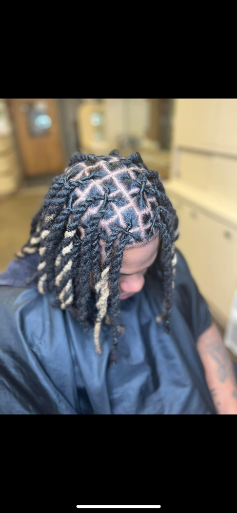 Two strand Twist 20 - 80 Locs