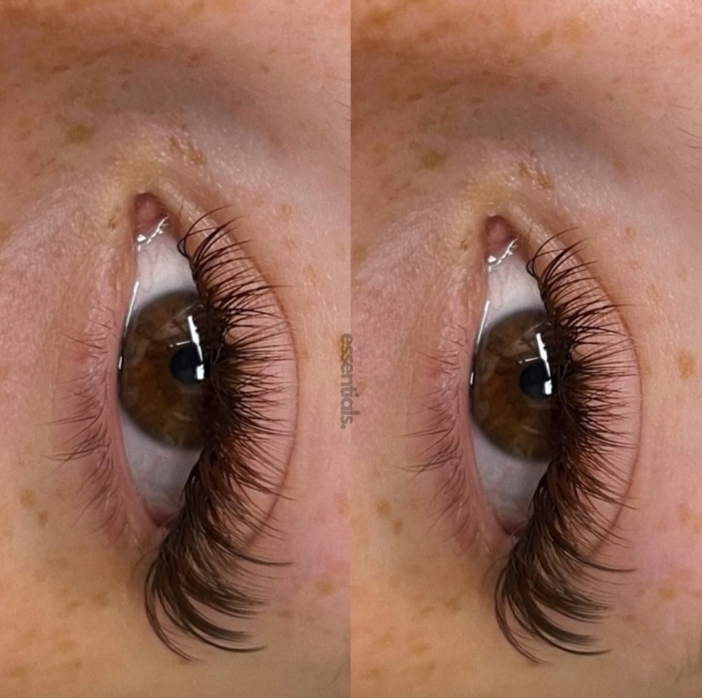 Hybrid 2 Week Fill