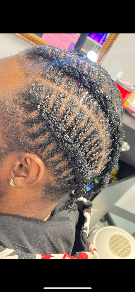 Fish Bone Braids