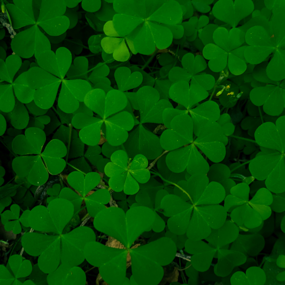 Lucky 777 Featured Facial at Soléa Skin Spa in Arcadia, FL