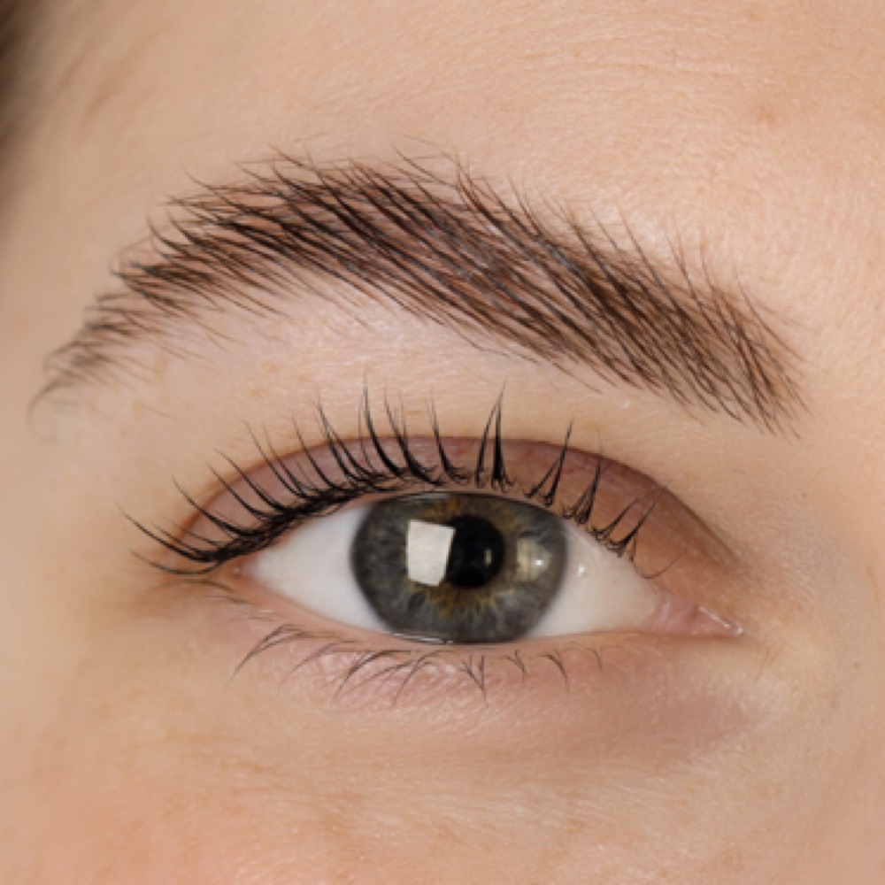 Eyelash Tint at Eden Beauty & Wellness in Oregon City, OR