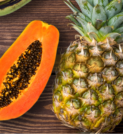 Papaya Pineapple Lip Treatment