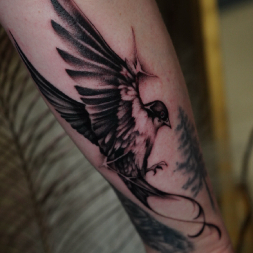 Full Day Session at flores de tinta in Tampa, FL