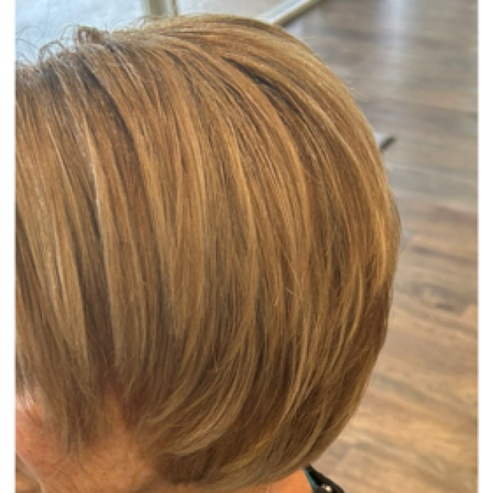 Root Touch Up & Partial Highlight at Hair by Chelsey in Sarasota, FL