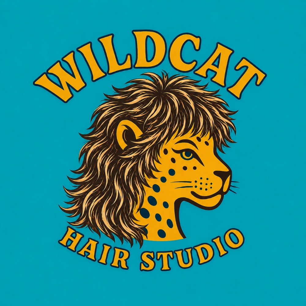 Highlight Long Hair ($288) at WILDCAT HAIR STUDIO in San Diego, CA