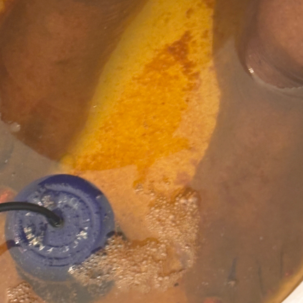 Foot Detox at J-Spa Today in Columbia, SC