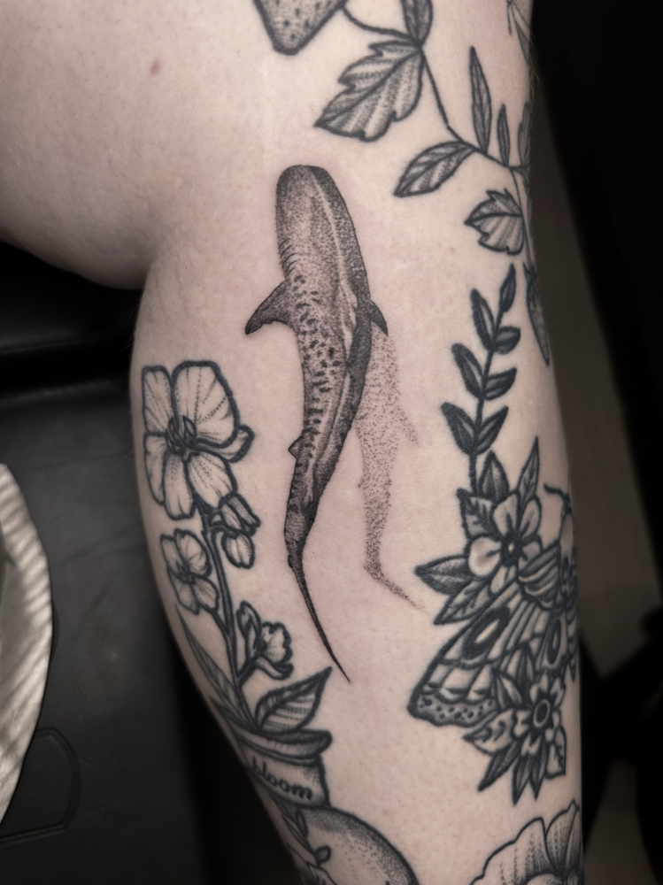 Small Session