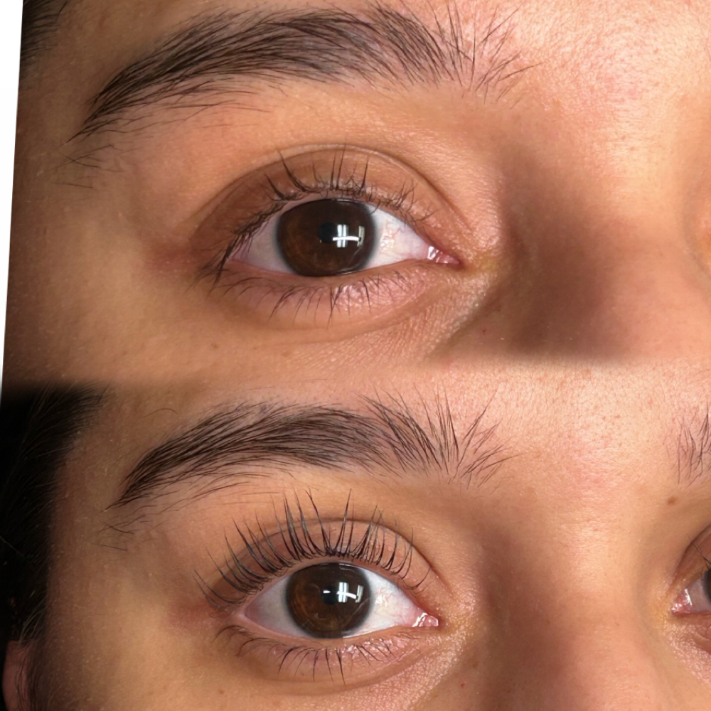 Traditional Lash Lift at Seduce Beauty & Academy in Houston, TX