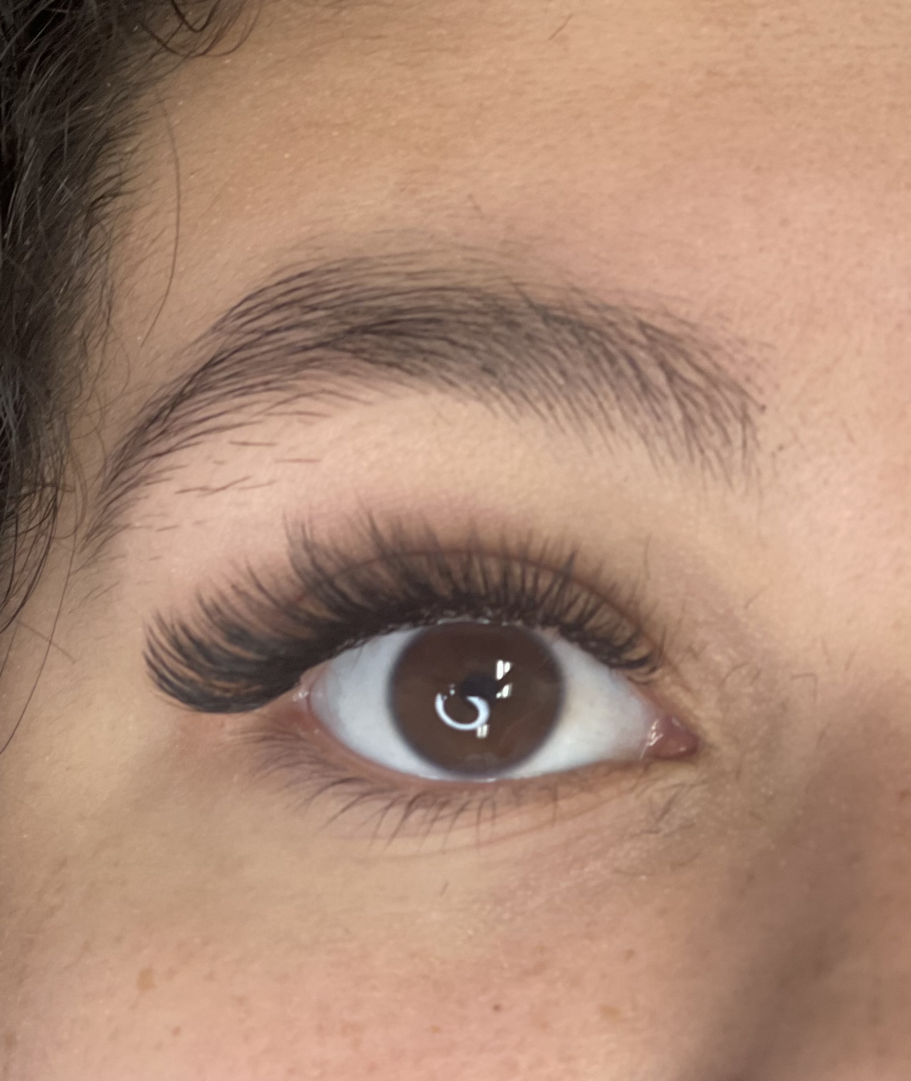 Volume Lash Fill 2 Wk
