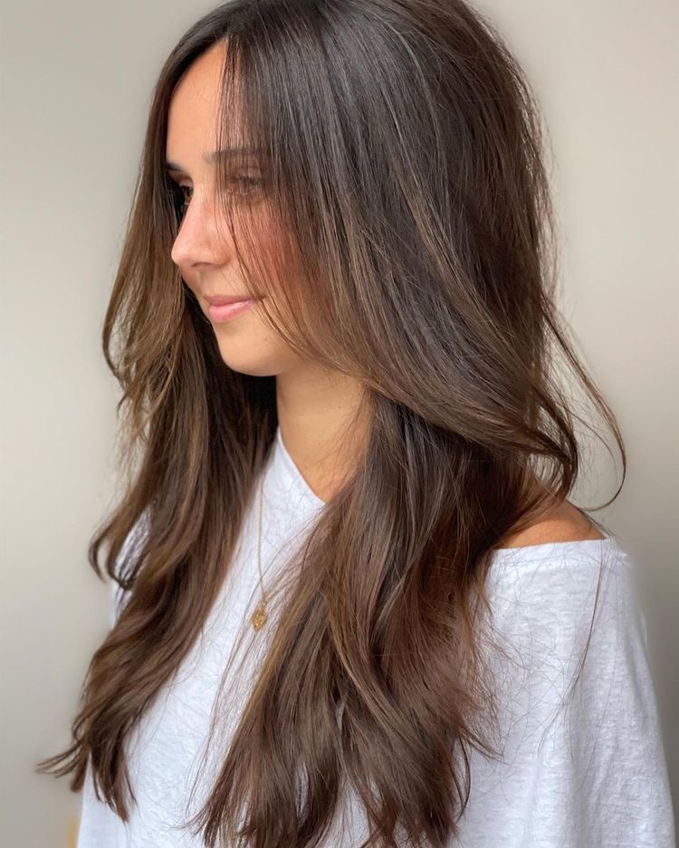 Color Consultation