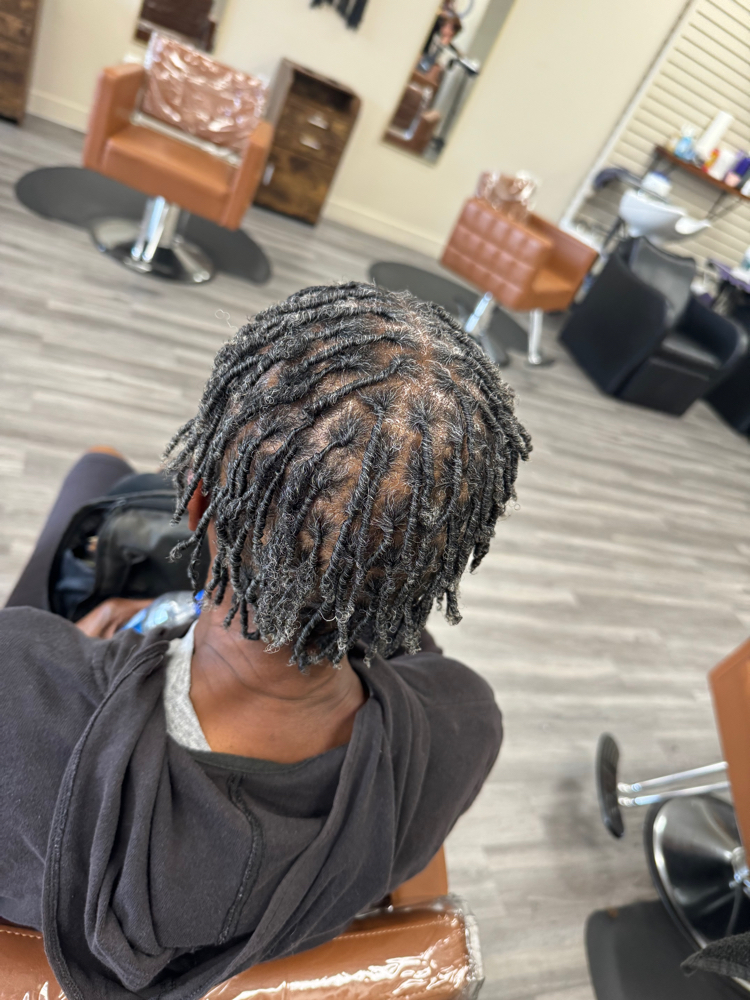 Starter Locs