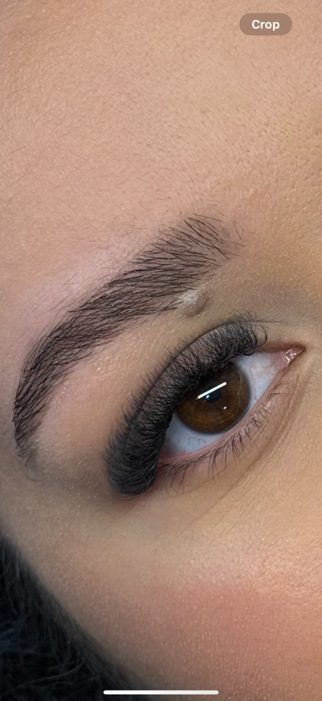 Egyptian - 3 weeks fill
