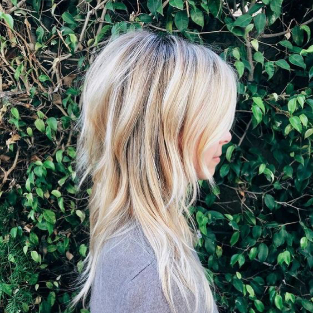 Cut And Style at The Blonde Society in Hazel Green, AL