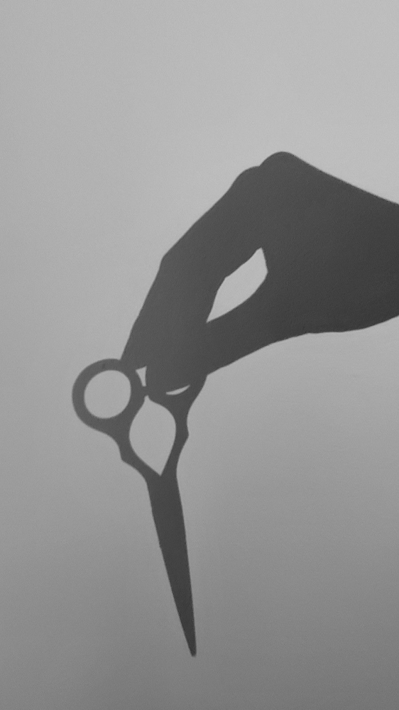 Scissor Cut at Beauty By Bailey in Toney, AL