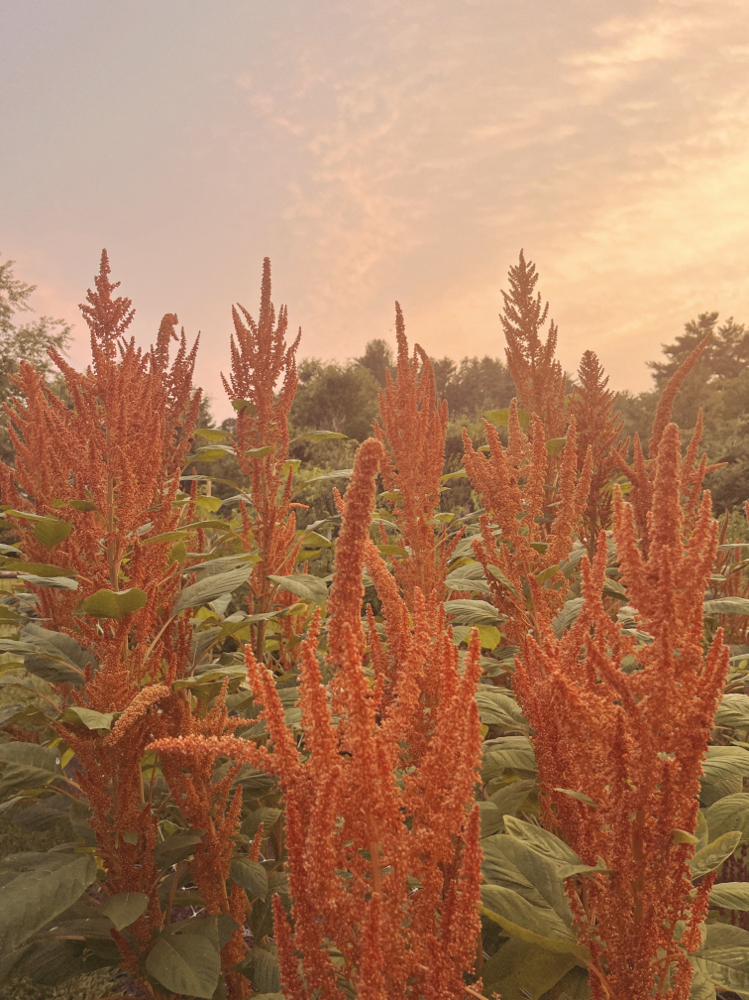 Bang Trim at Jordan Eliza in Benton, ME